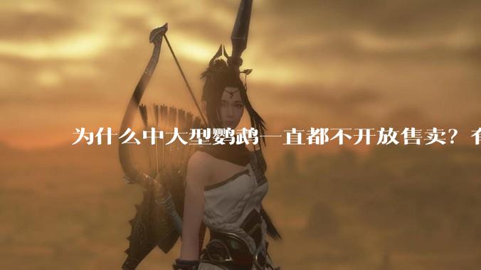 为什么中大型鹦鹉一直都不开放售卖？有哪些原因呢?