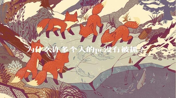 为什么许多个人的pc没有被抓?