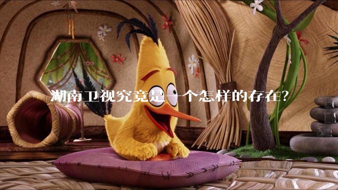 湖南卫视究竟是一个怎样的存在？
